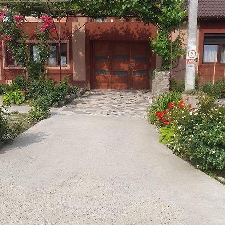 Casa Elena Eselnita酒店 外观 照片