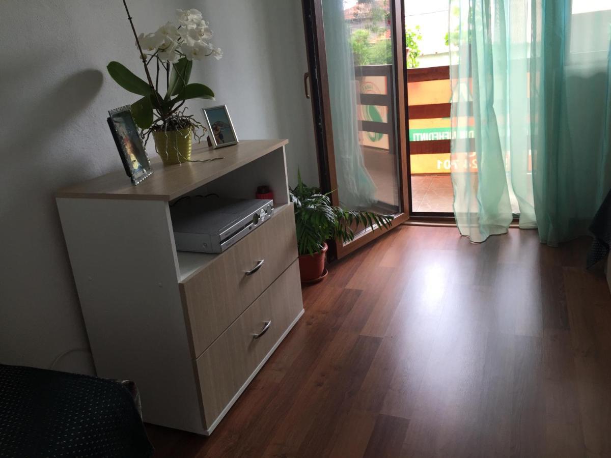 Casa Elena Eselnita酒店 外观 照片