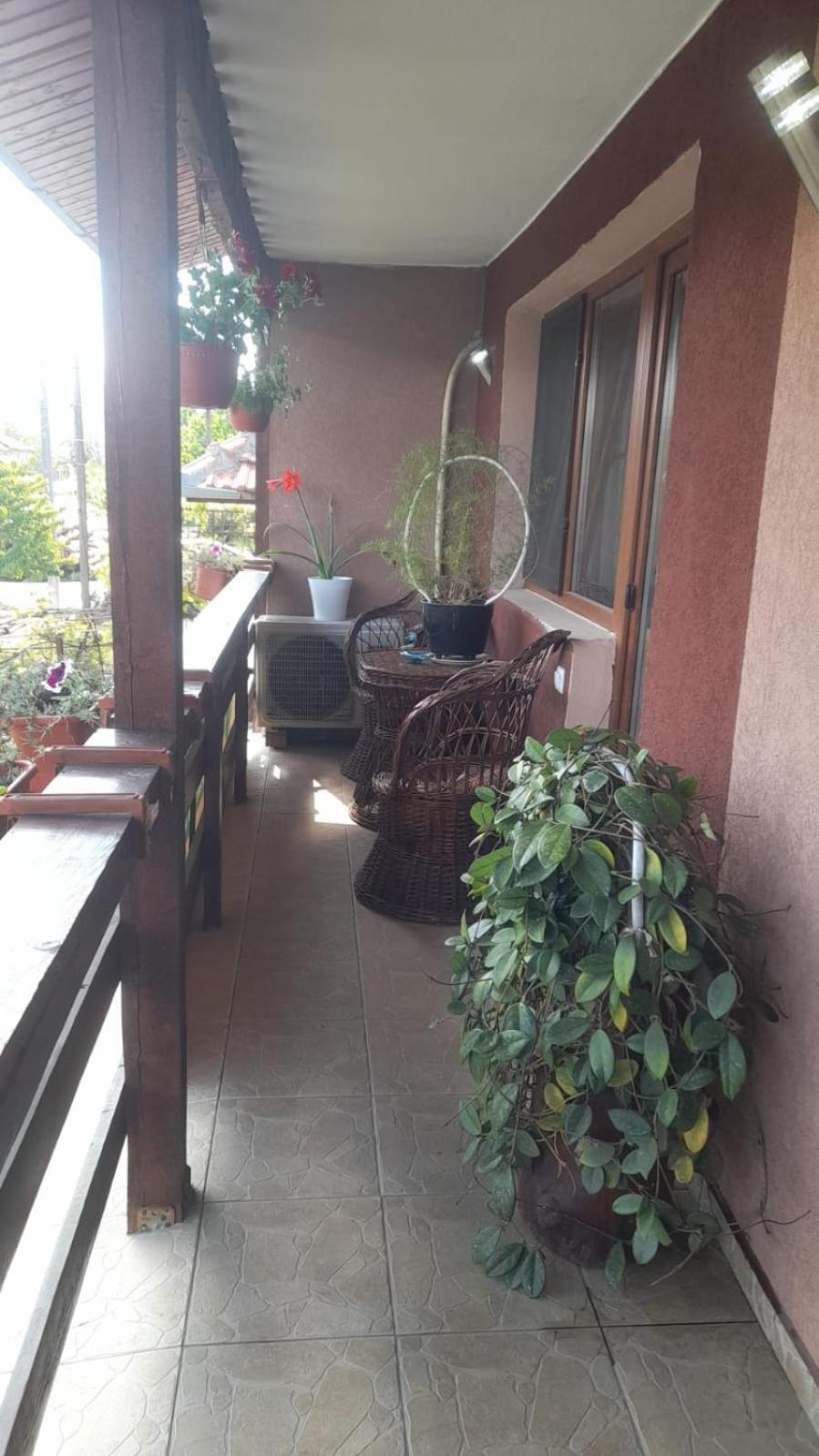 Casa Elena Eselnita酒店 外观 照片