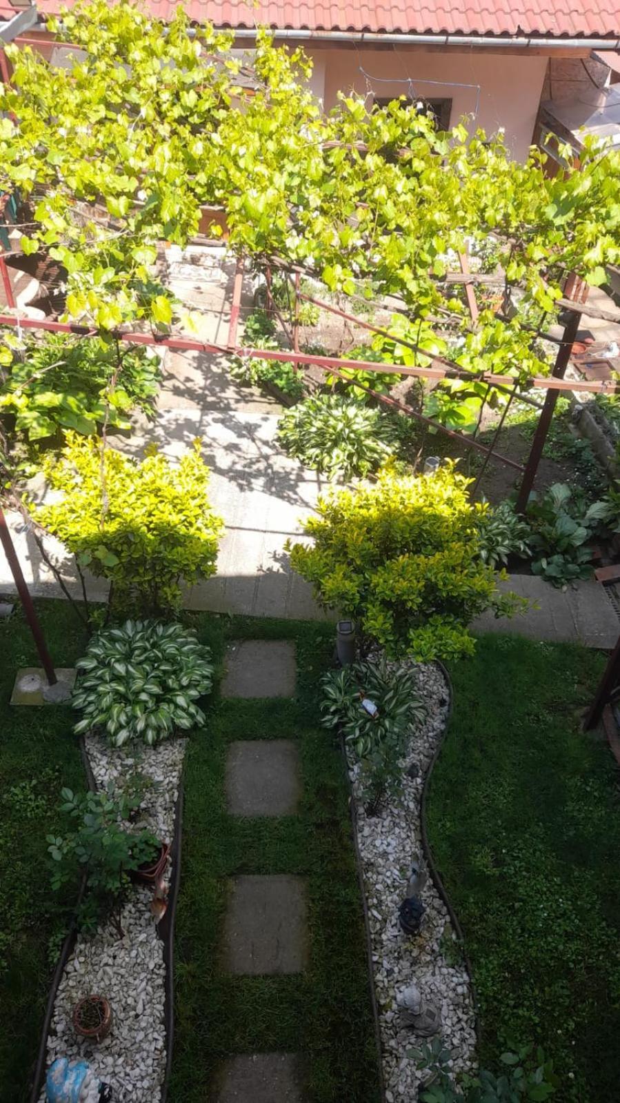 Casa Elena Eselnita酒店 外观 照片